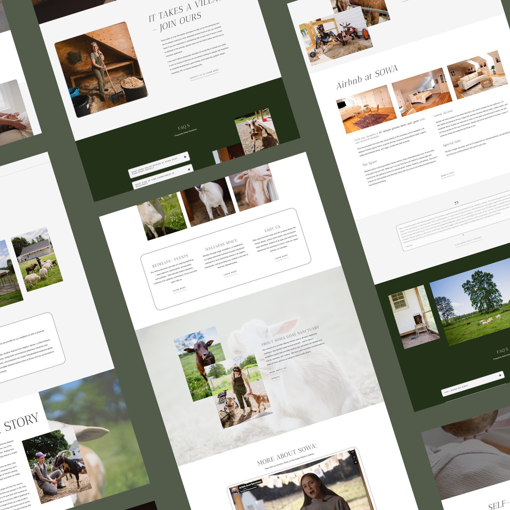 Portfolio of digital marketing solutions for Quality Gardening & Landscaping